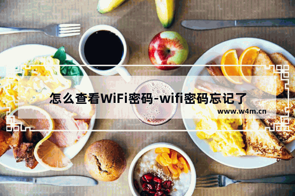 怎么查看WiFi密码-wifi密码忘记了怎么查看wifi密码