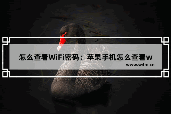 怎么查看WiFi密码：苹果手机怎么查看wifi密码是多少