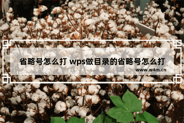 省略号怎么打 wps做目录的省略号怎么打