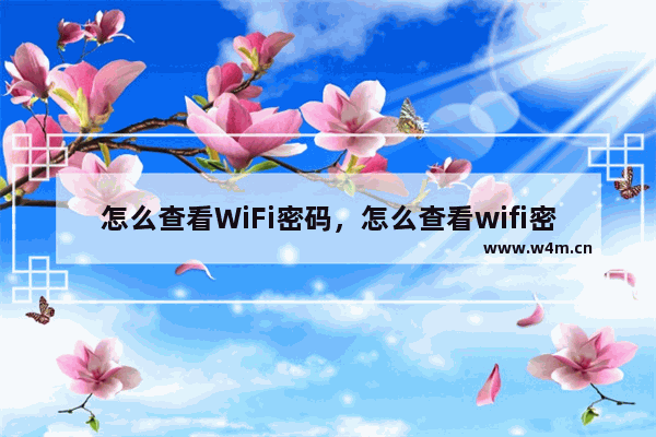 怎么查看WiFi密码，怎么查看wifi密码华为