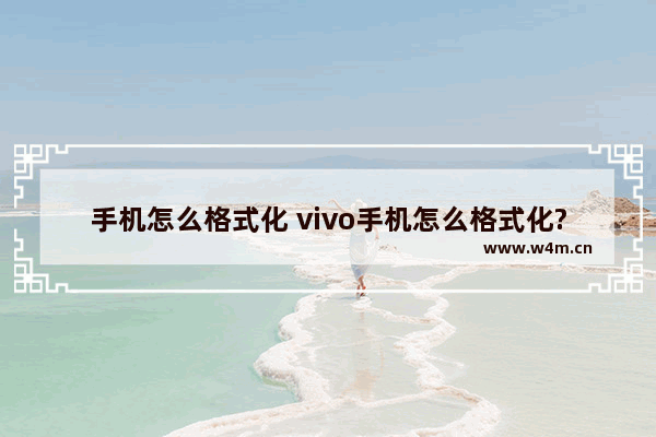 手机怎么格式化 vivo手机怎么格式化?