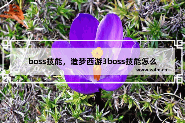 boss技能，造梦西游3boss技能怎么用