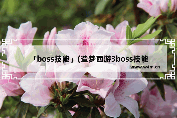 「boss技能」(造梦西游3boss技能按键)