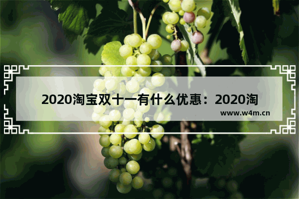 2020淘宝双十一有什么优惠：2020淘宝双十一有什么优惠活动