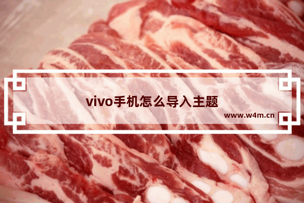 vivo手机怎么导入主题