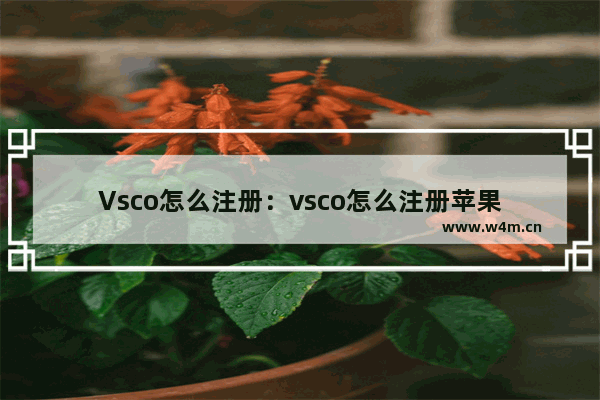 Vsco怎么注册：vsco怎么注册苹果