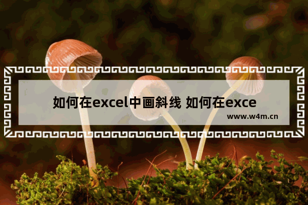 如何在excel中画斜线 如何在excel中画斜线并输入文字