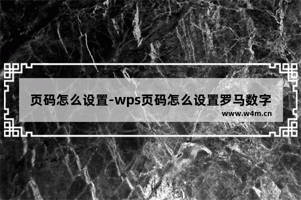 页码怎么设置-wps页码怎么设置罗马数字