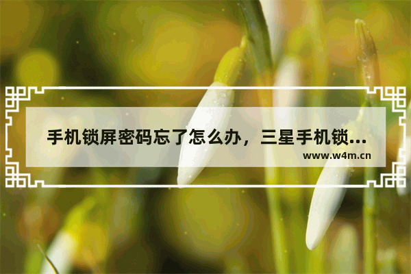 手机锁屏密码忘了怎么办，三星手机锁屏密码忘了怎么办