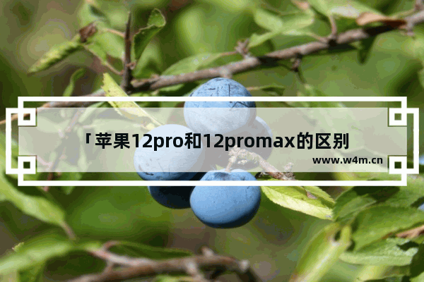 「苹果12pro和12promax的区别」(苹果12pro和12promax的区别运行)