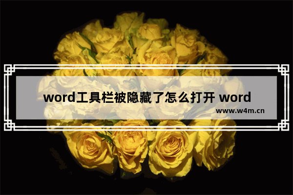 word工具栏被隐藏了怎么打开 word工具栏的打开方法