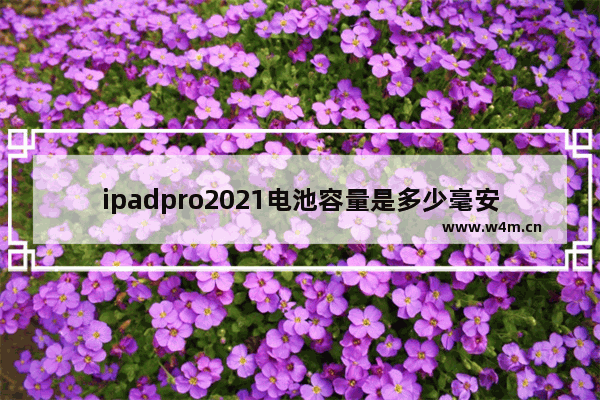 ipadpro2021电池容量是多少毫安