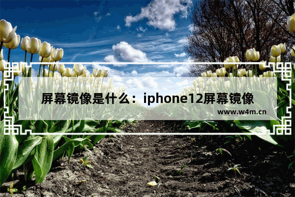 屏幕镜像是什么：iphone12屏幕镜像是什么