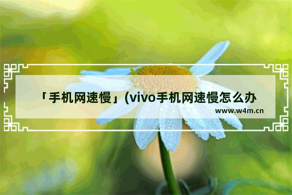 「手机网速慢」(vivo手机网速慢怎么办)