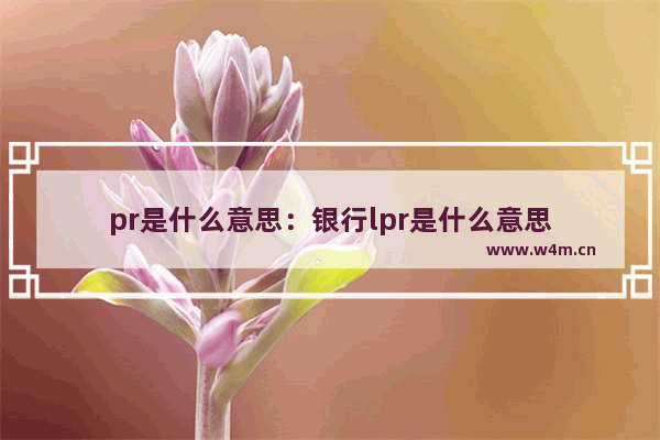 pr是什么意思：银行lpr是什么意思