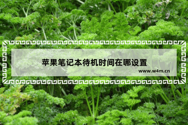 苹果笔记本待机时间在哪设置