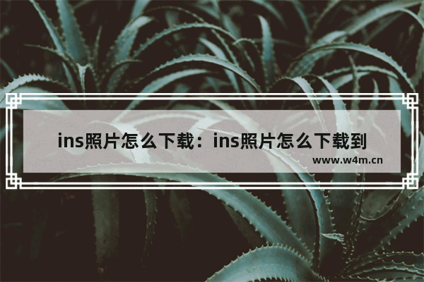 ins照片怎么下载：ins照片怎么下载到相册