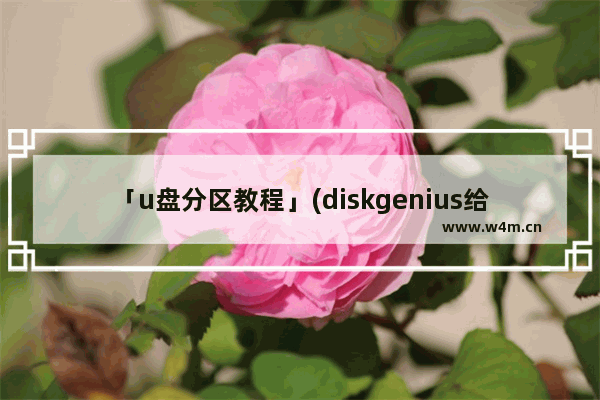 「u盘分区教程」(diskgenius给u盘分区教程)