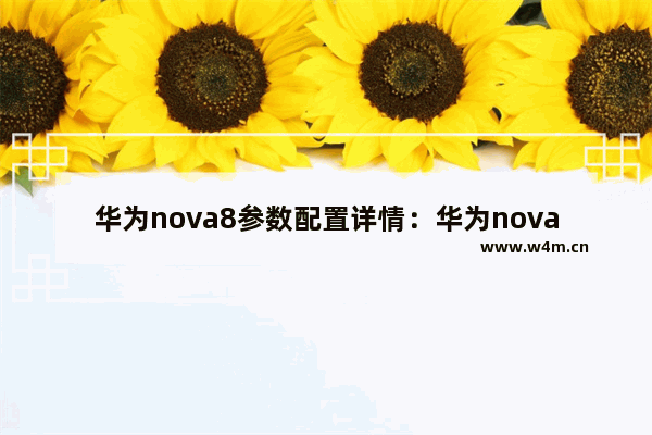 华为nova8参数配置详情：华为nova8参数配置详情后面摄像还有什么