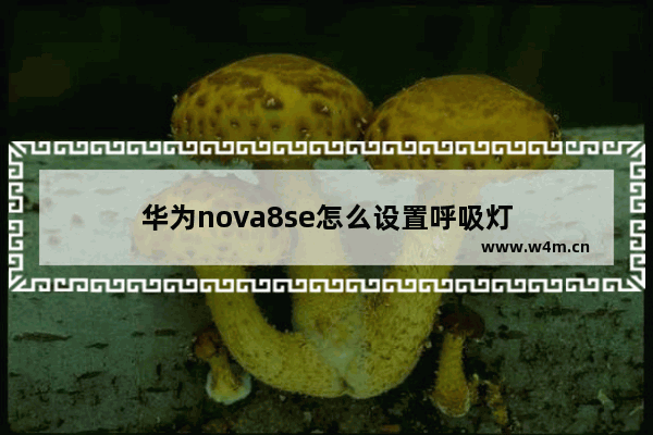 华为nova8se怎么设置呼吸灯