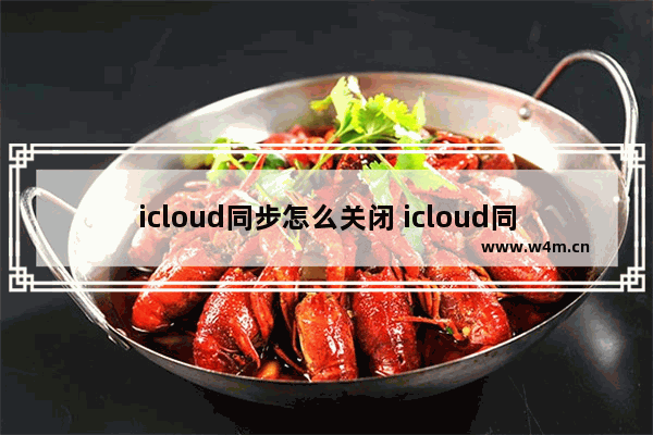 icloud同步怎么关闭 icloud同步关闭的步骤