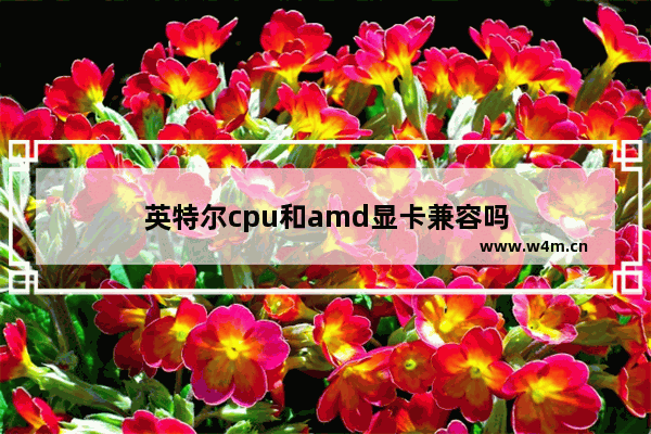 英特尔cpu和amd显卡兼容吗