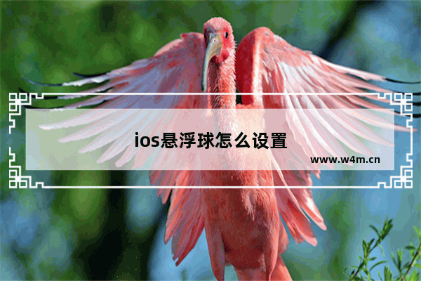 ios悬浮球怎么设置