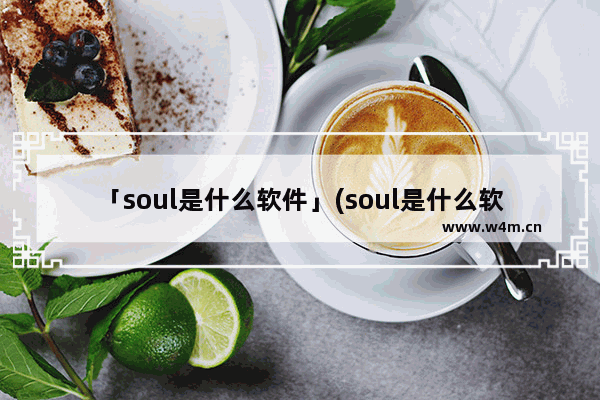 「soul是什么软件」(soul是什么软件是相亲的吗)