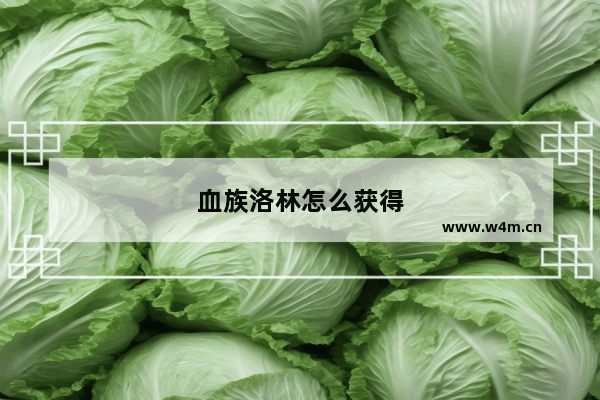 血族洛林怎么获得