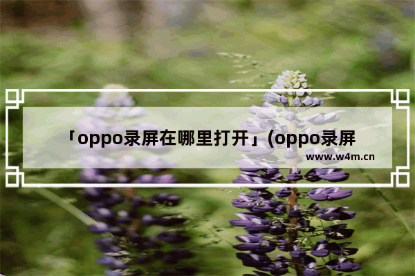 「oppo录屏在哪里打开」(oppo录屏在哪里打开啊a9)