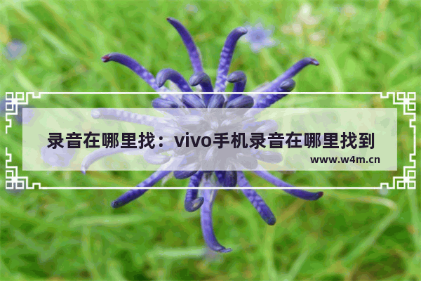 录音在哪里找：vivo手机录音在哪里找到