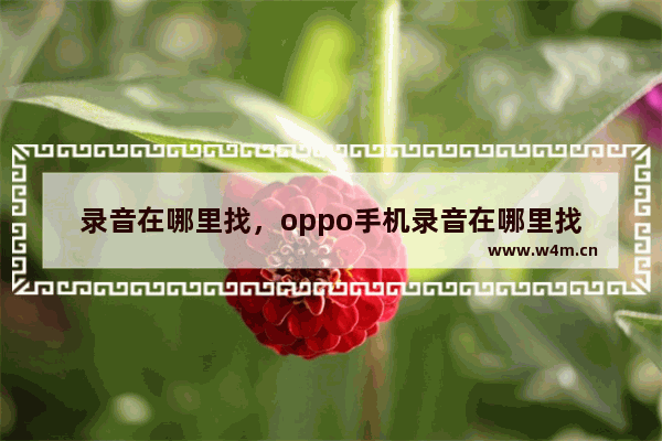 录音在哪里找，oppo手机录音在哪里找