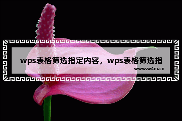 wps表格筛选指定内容，wps表格筛选指定内容三角消失