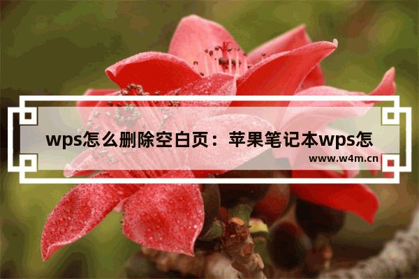 wps怎么删除空白页：苹果笔记本wps怎么删除空白页