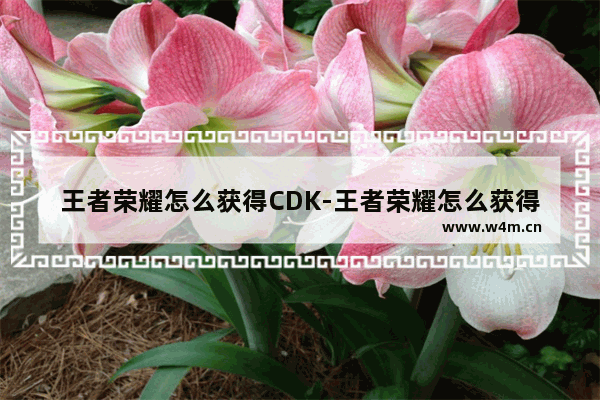 王者荣耀怎么获得CDK-王者荣耀怎么获得cdkey兑换码