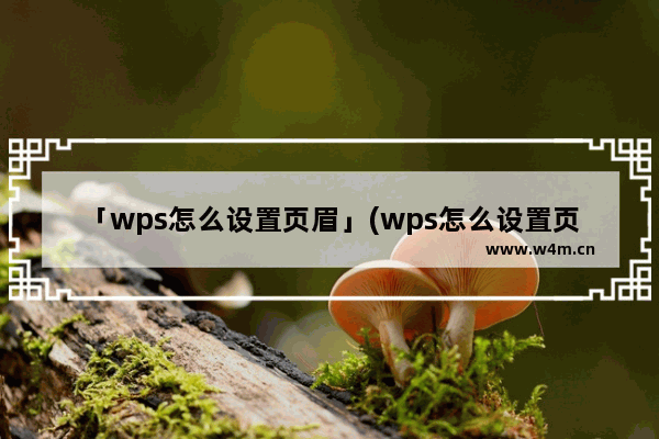 「wps怎么设置页眉」(wps怎么设置页眉页脚为节页码)