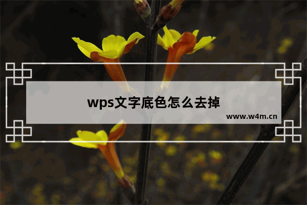 wps文字底色怎么去掉