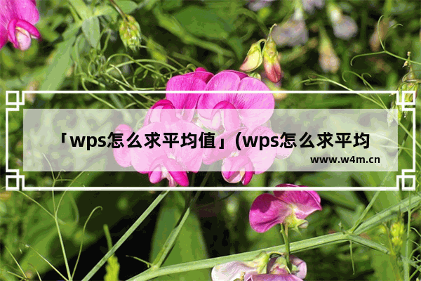 「wps怎么求平均值」(wps怎么求平均值PPT里的表格)