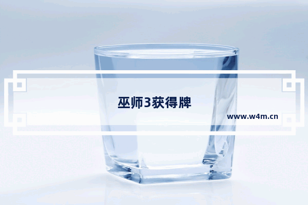 巫师3获得牌