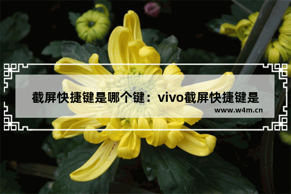 截屏快捷键是哪个键：vivo截屏快捷键是哪个键