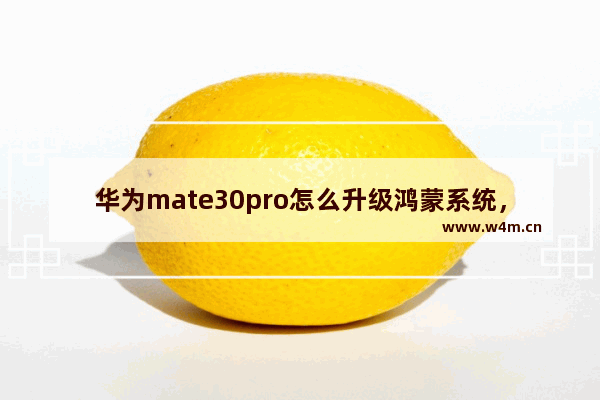 华为mate30pro怎么升级鸿蒙系统，华为mate30pro怎么升级鸿蒙系统2.0