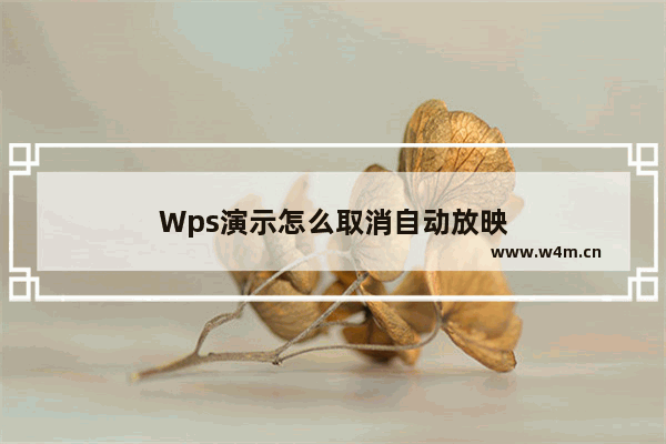 Wps演示怎么取消自动放映