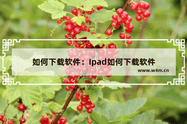 如何下载软件：Ipad如何下载软件