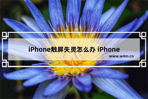 iPhone触屏失灵怎么办 iPhone触屏失灵的解决方法