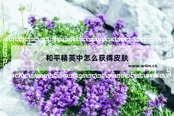 和平精英中怎么获得皮肤