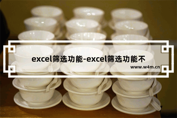 excel筛选功能-excel筛选功能不能用