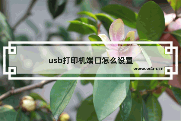 usb打印机端口怎么设置