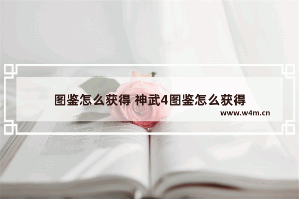 图鉴怎么获得 神武4图鉴怎么获得