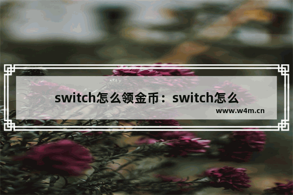 switch怎么领金币：switch怎么领金币卡带