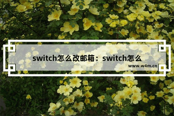 switch怎么改邮箱：switch怎么改邮箱号